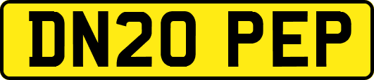DN20PEP