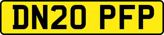DN20PFP