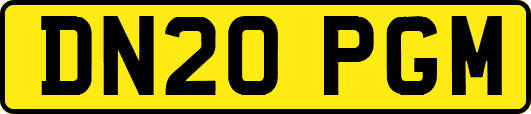 DN20PGM