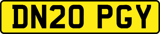 DN20PGY