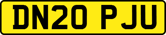 DN20PJU