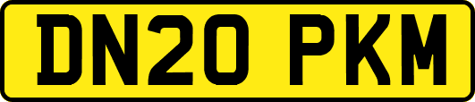 DN20PKM