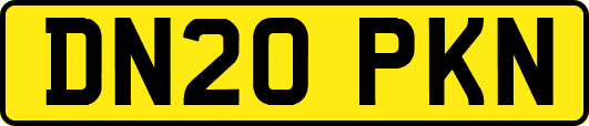 DN20PKN