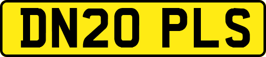DN20PLS
