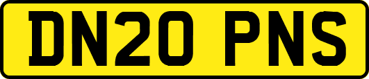 DN20PNS