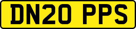 DN20PPS