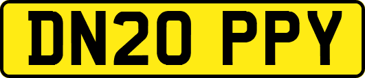 DN20PPY