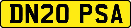 DN20PSA