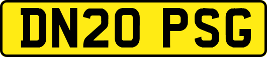 DN20PSG