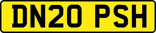 DN20PSH