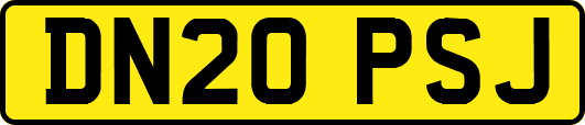 DN20PSJ