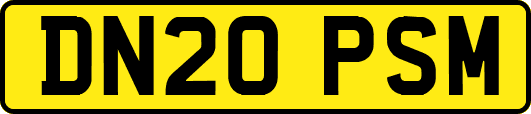 DN20PSM