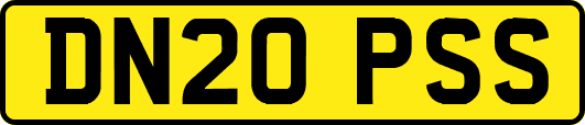 DN20PSS