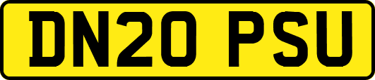 DN20PSU
