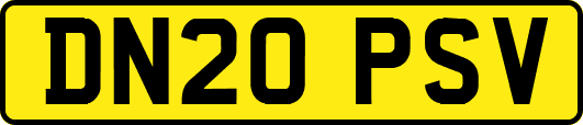 DN20PSV