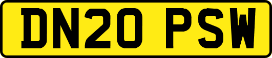 DN20PSW