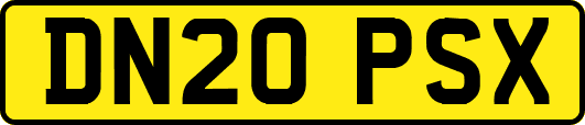 DN20PSX