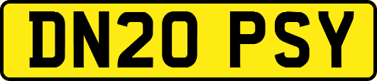 DN20PSY