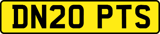 DN20PTS