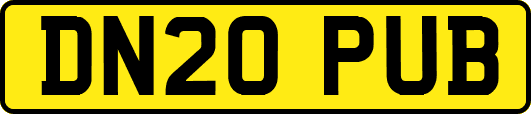 DN20PUB