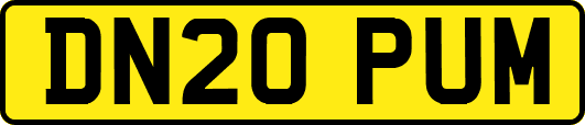 DN20PUM