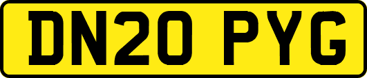 DN20PYG