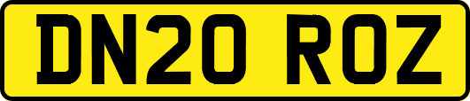 DN20ROZ
