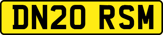 DN20RSM