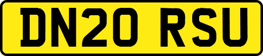 DN20RSU