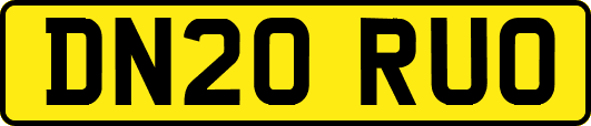 DN20RUO