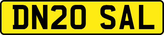 DN20SAL