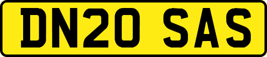 DN20SAS