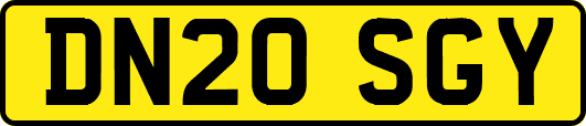 DN20SGY