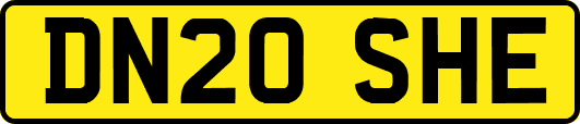 DN20SHE