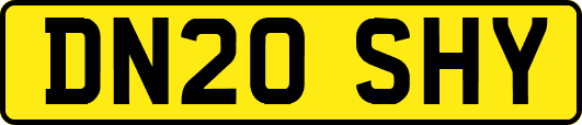 DN20SHY