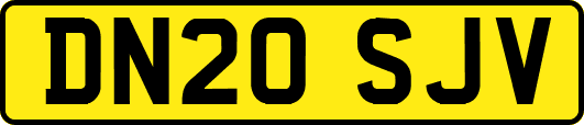 DN20SJV