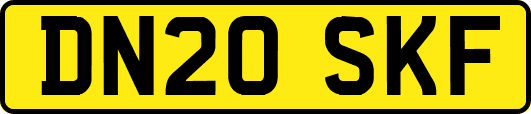 DN20SKF