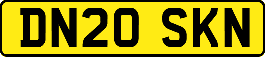 DN20SKN