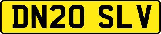 DN20SLV