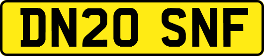 DN20SNF