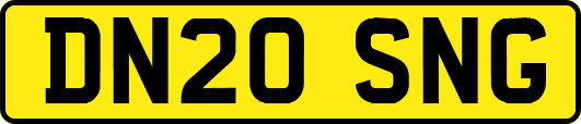 DN20SNG