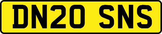 DN20SNS