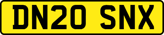 DN20SNX