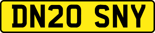 DN20SNY