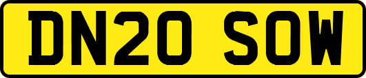 DN20SOW