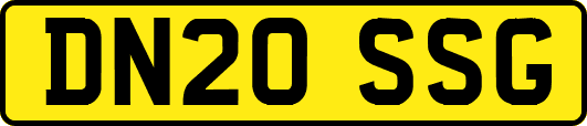DN20SSG