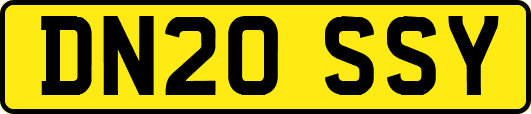 DN20SSY