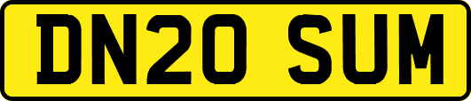 DN20SUM