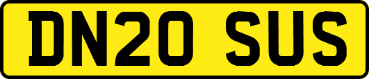 DN20SUS