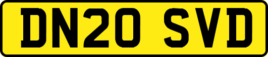 DN20SVD